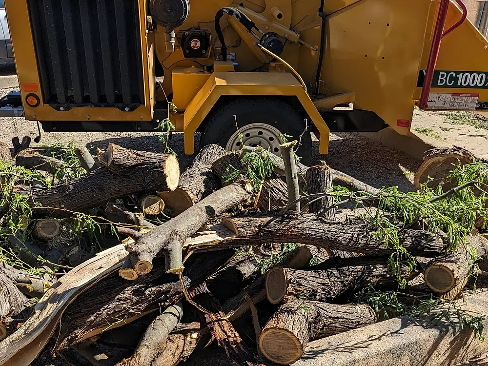 Yellow wood chipper next to a pile of cut limbs and logs