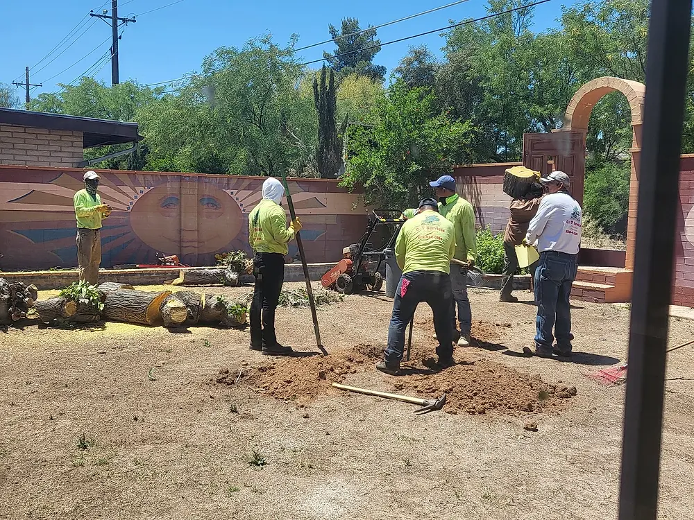 Q&T crew in hi-vis shirts digging out a stump in a dirt backyard
