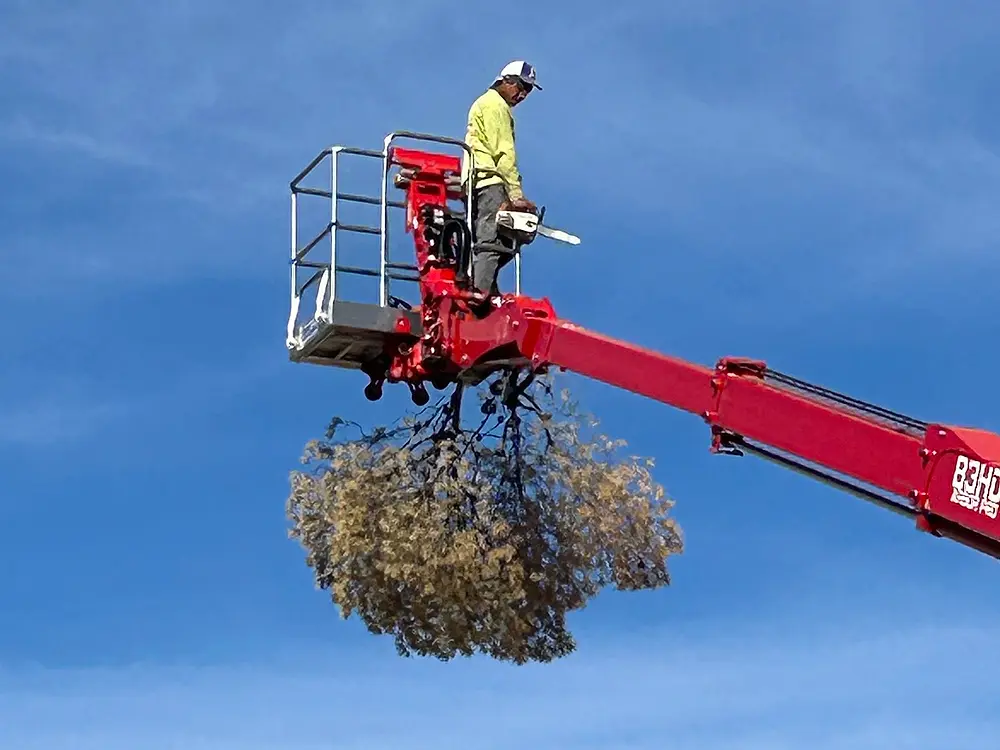 Q&T crew member in hi-vis on a red spider lift lowering a bundle of cut branches